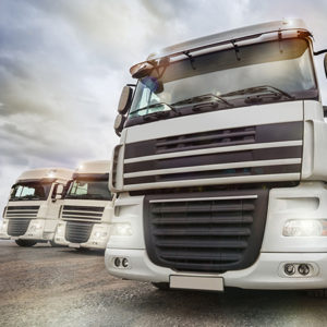 logistica